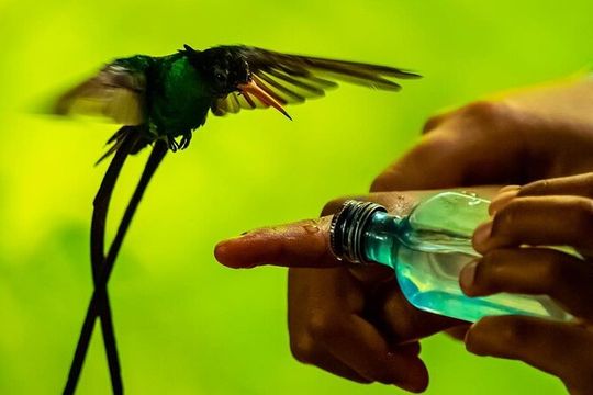 Bird Watcher's Paradise at Rockland Bird Sanctuary