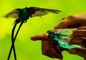 Bird Watcher's Paradise at Rockland Bird Sanctuary