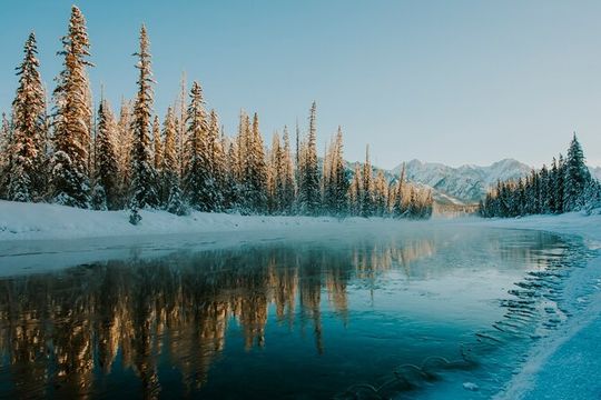 Along Icefields Parkway: Peyto Lake, Bow Lake & Columbia Icefield