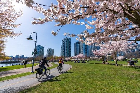 Private City Tour in Vancouver