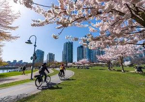 Private City Tour in Vancouver