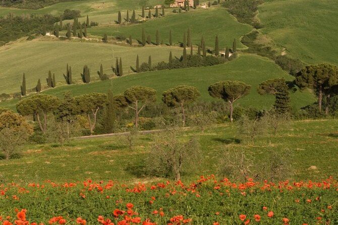 From Florence to Tuscany Winerys