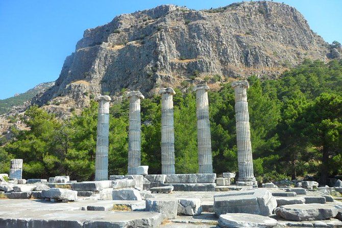 Bran and Peles Castles, Bear Sanctuary and Palinca Tasting with Tickets
