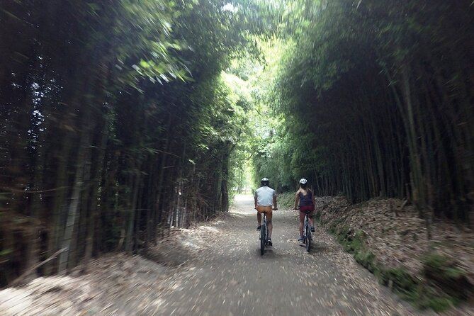 Premium Shore Excursion & Local Culture Tour