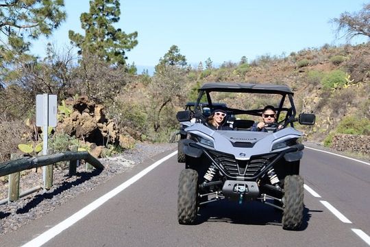 Puerto de la Cruz: Buggy Trip Volcano Teide National Park