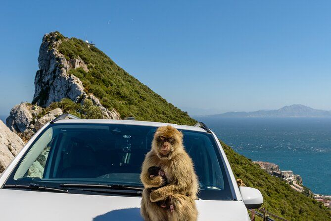 Gibraltar Full Day Tour Ultimate Tour 7hrs