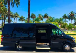 Private Road to Hana or any Maui destination in Luxury Mercedes Sprinter