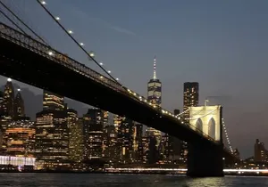 Evening Experience with Views and Drinks from Manhattan to Brooklyn