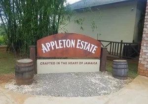 Appleton Estate Rum Private Tour