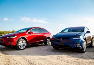 Los Cabos Luxury Private Tesla Transfer from Airport to Diamante Area