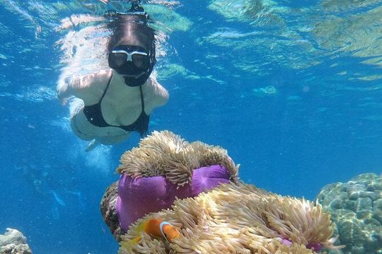 Snorkeling and Paddle Boarding in Cabo San Lucas