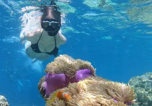Snorkeling and Paddle Boarding in Cabo San Lucas