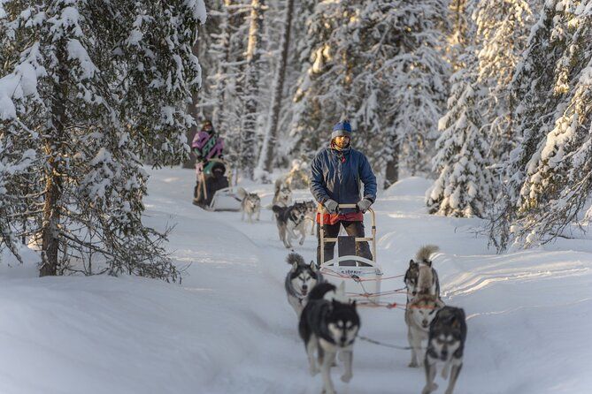 Snowy Trails 10km Husky Safari from Rovaniemi