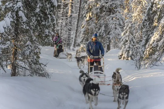 Snowy Trails 10km Husky Safari from Rovaniemi