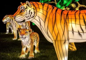 Bronx Zoo Holiday Lights Admission Ticket