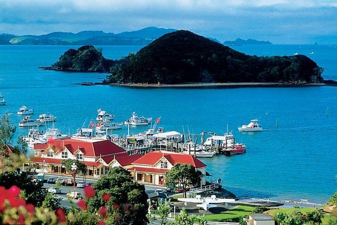 Waitangi Treaty Ground Day Trip Private Transport From Auckland