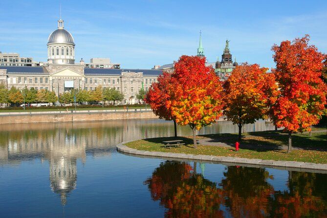 Full Day Private Shore Tour in Montreal from Montreal Cruise Port