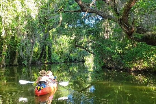 Tavares Half-Day Kayak Rental for Two on the Dora Canal