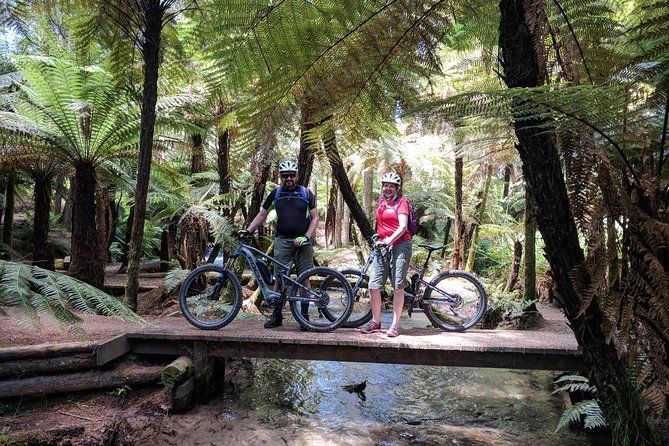Bike Rental Tenerife
