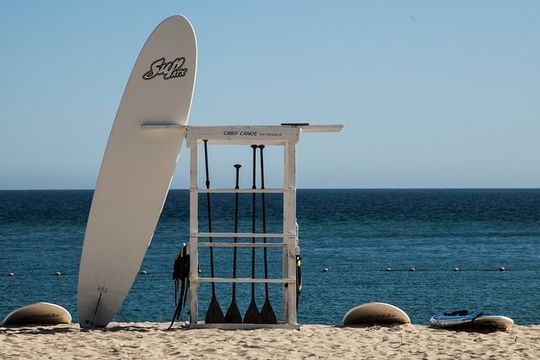1-Hour SUP Rental in Cabo San Lucas