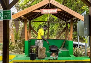 Full Day Blue Mountains Tour including Lunch