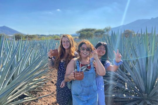 Tequila Pueblo Magico Adventure Day Trip from Puerto Vallarta