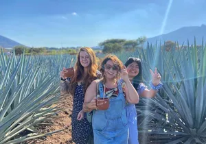 Tequila Pueblo Magico Adventure Day Trip from Puerto Vallarta