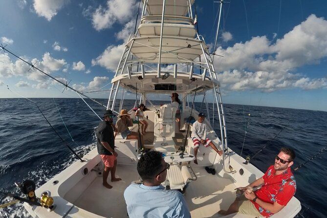Small group Whale watching