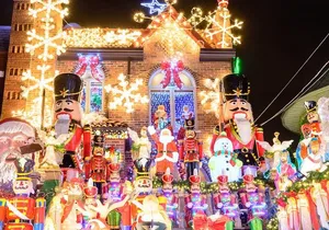 NYC Private Holiday Lights Tour