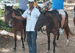 Private Horseback Riding From Falmouth