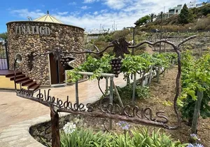 Guided Tour with 6 Wine Tasting