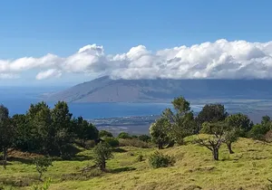 Private Upcountry Maui Tour