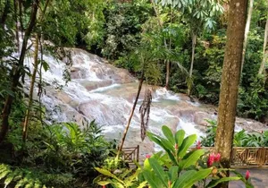 Dunns River Falls and Bob Marley Nine Mile Private Tour