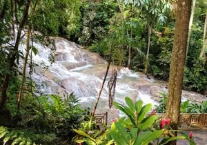 Dunns River Falls and Bob Marley Nine Mile Private Tour