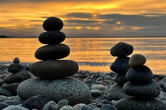 Vancouver Shore Exursion Cruise City Sightseeing Airport Drop off