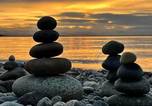 Vancouver Shore Exursion Cruise City Sightseeing Airport Drop off