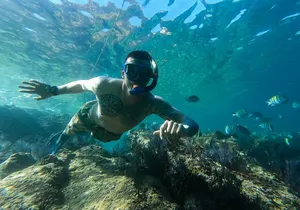 Snorkeling On Chilean Beach Transportation And Drinks Included