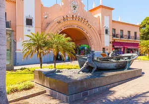 Discover Santa Cruz de Tenerife, The Ultimate City Tour