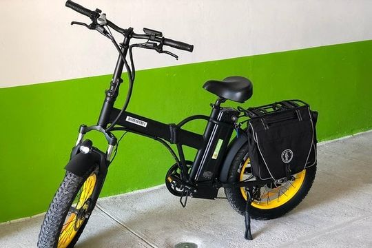Electric Bikes Per Day