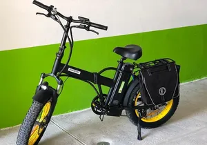 Electric Bikes Per Hour