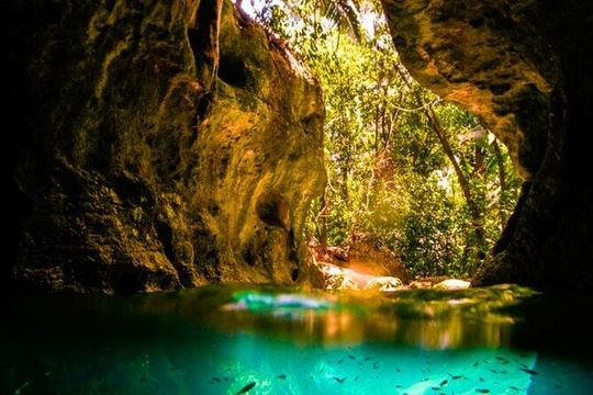 Green Grato Caves and Dunns River Falls with Private Transfer