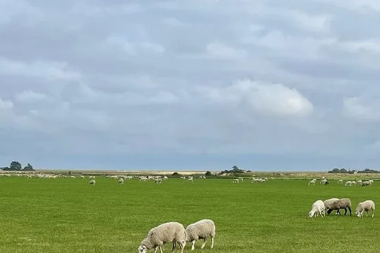 Tour in Texel
