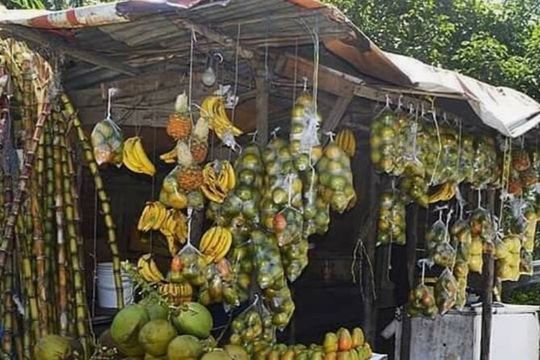 Sightseeing Tour in Ocho Rios