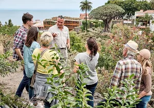 VIP Grand Tour Isla de Tenerife from South Tenerife