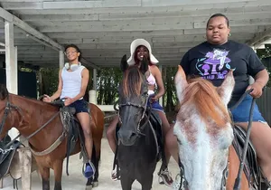 Horseback Experience in Miami