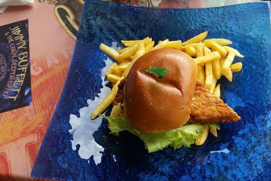 Luxury VIP Private Transfer: MBJ to Coral Spring & Ocean Eden Bay