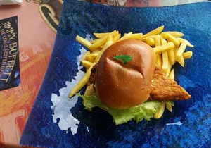 Private Coral Spring & Ocean Eden MBJ Airport Transfer to/from