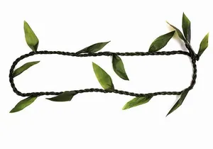 Ti Leaf Airport Lei Greeting (Maui, Kahului Airport, OGG)