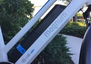 Electric Bike Rental