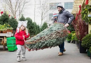 New York City's Private Iconic Christmas Tour